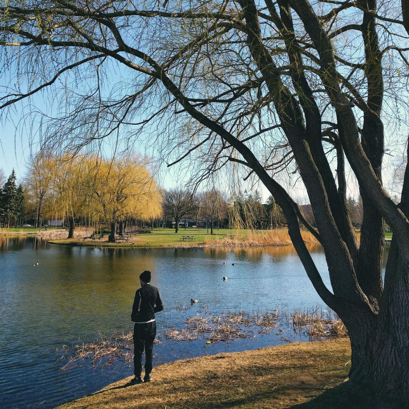 parc jarry montréal