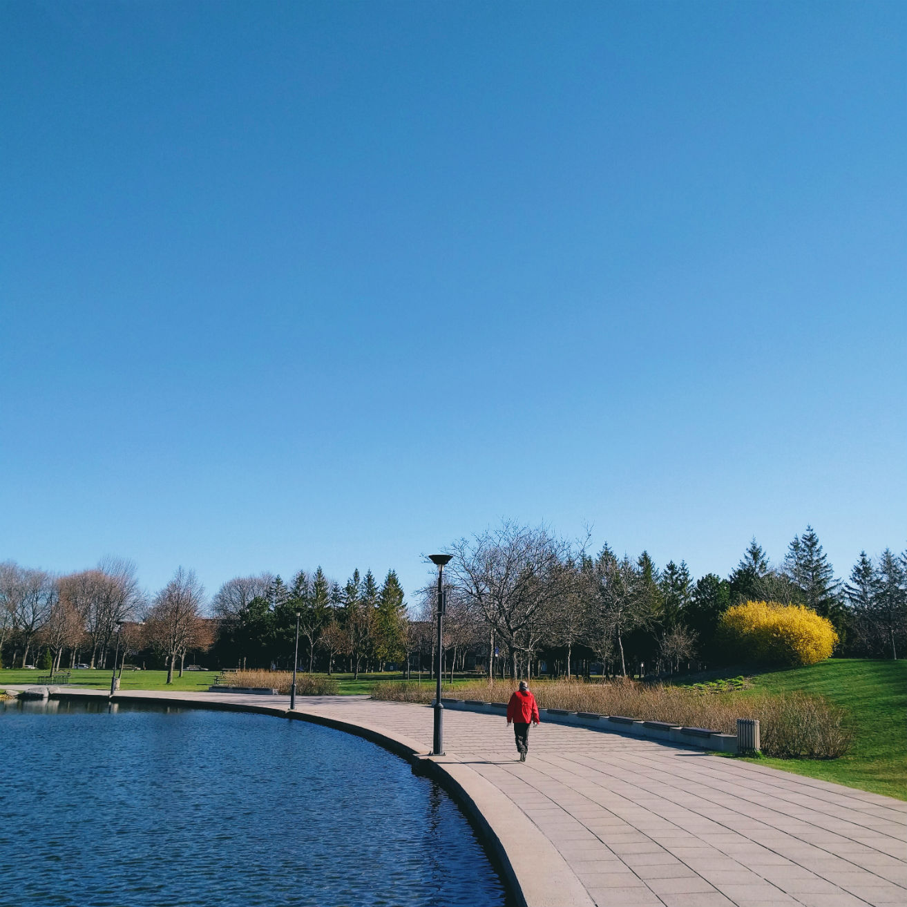 parc jarry Montréal