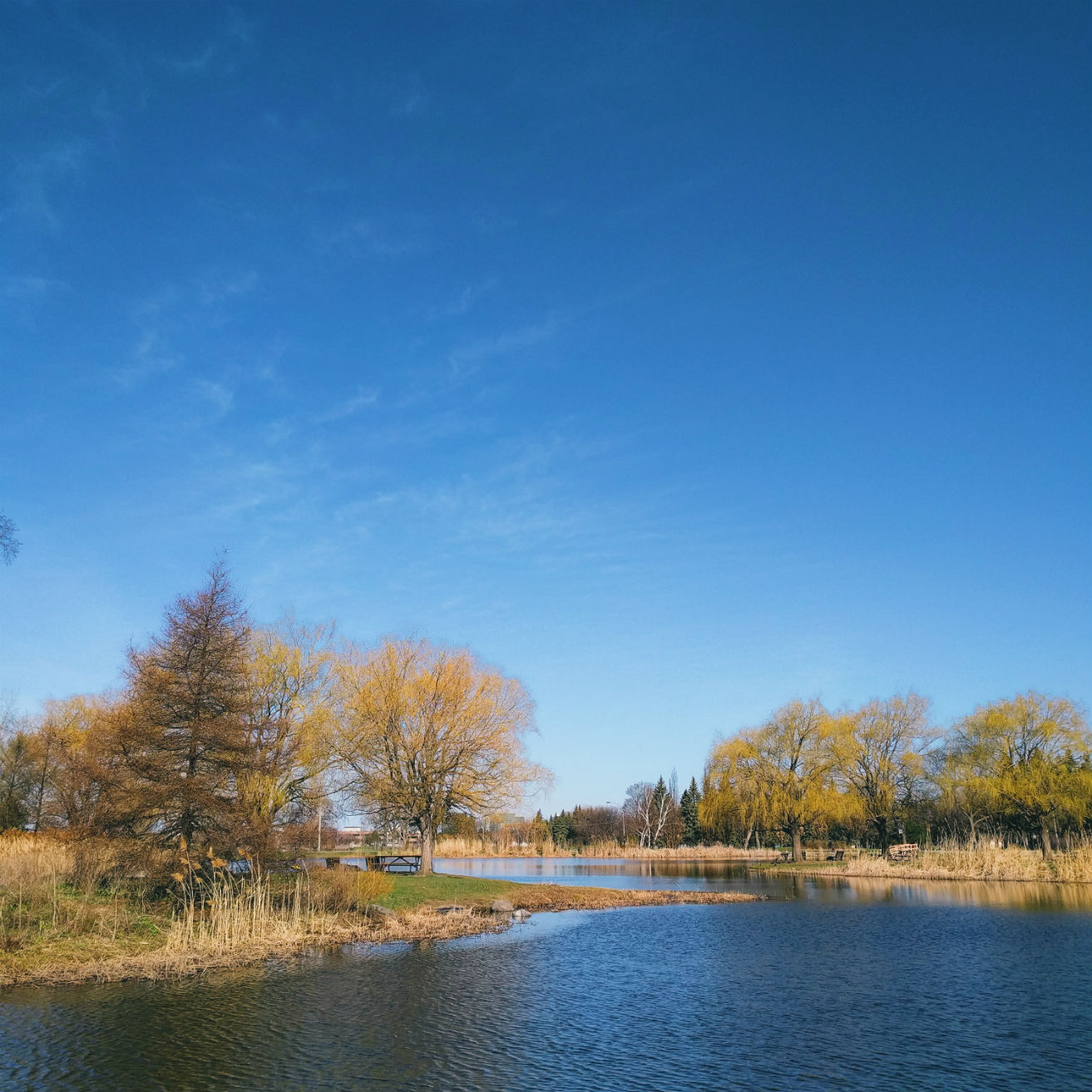 Parc Jarry Montréal