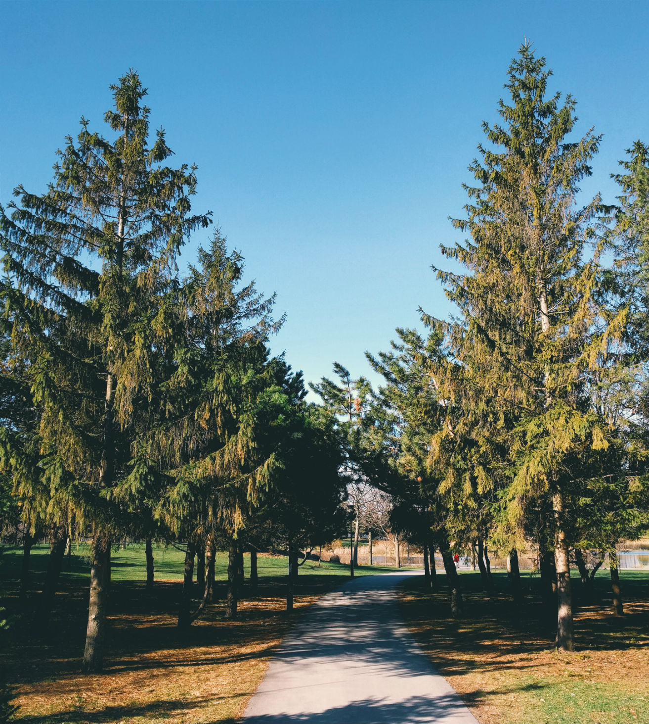 Parc Jarry Montréal